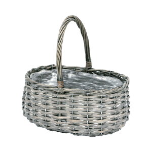 Vr[EC[ I[o oXPbgM Ԋx[X [TDLKN011196] oXPbg  AWgԍ nhCh AWgpԊ [pi I[LbhJ[ AeB[N