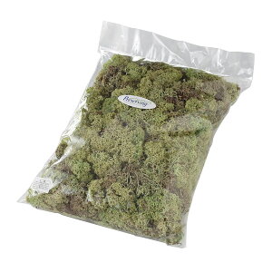 ACXhX 唠 O[ vU[uht[ [TDLDO061073-700] 500gX AWgԍ VRf nhCh K[fjOpi 