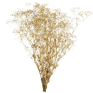 X[p[\tg ~jJX~ S[h vU[uht[[TDLDO000020-902] JX~ v[g  K[fjOpi vU[uhAW  K[fjO t[AWg C