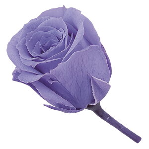 rrA x_[ vU[uht[ 24֓ [Y o [TDLDO002370-411] KN v[g   AWgt[ lHϗtA K[fjOpi vU[uhH  K[f