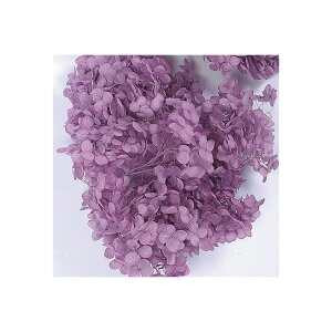 \tgAix wbh vU[uht[p[v 2֓ AWTC [TDLDO002160-401] v[g   AWgt[ lHϗtA K[fjOpi vU[uhAW  