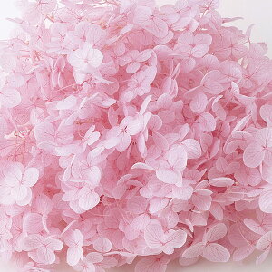 \tgAix wbh vU[uht[ sN 2֓ AWTC [TDLDO002160-101] v[g   AWgt[ lHϗtA K[fjOpi vU[uhAW  K