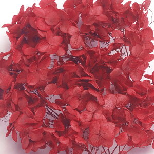 \tgAix wbh vU[uht[ bh 2֓ AWTC [TDLDO002160-301] v[g   AWgt[ lHϗtA K[fjOpi vU[uhAW  K