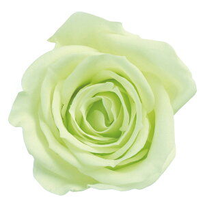 [Y  tbVO[ vU[uht[ 9֓ o [TDLDO003480-701] KN v[g   AWgt[ lHϗtA K[fjOpi vU[uhAW 