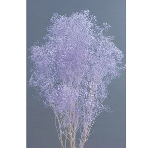 \tg~jJX~ GWF p[v vU[uht[ JX~[TDLDO000010-441] v[g  K[fjOpi vU[uhAW  K[fjO t[AWg C