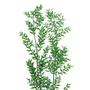 XJX vU[u O[h vU[uht[ [TDLDO003560-731] v[g   tFCNO[ lHϗtA K[fjOpi NX}X vU[uhH  K[fjO 