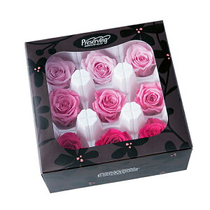 [Y  J[A\[g sN~bNX vU[uht[ [TDLDO003484-110] 9֓ o KN v[g   AWgt[ lHϗtA K[fjOpi vU[u