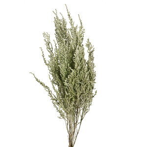 \tgXg[xtbL[ O[ vU[uht[ [TDLDO001760-706] 1 v[g   tFCNO[ lHϗtA K[fjOpi NX}Xc[ vU[uhH  