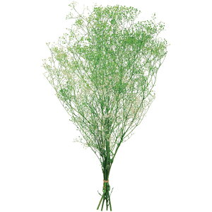 ~jJX~ t[x[  O[ vU[uht[ [TDLDO000015-017] v[g  K[fjOpi vU[uhAW  K[fjO CeA t[AWg 