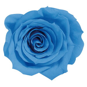 [Y  \[_[u[ vU[uht[ [TDLDO003480-651] 9֓ o KN v[g   AWgt[ lHϗtA t[Mtg K[fjOpi vU[u