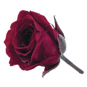 rrA Cbh vU[uht[ 24֓ [Y o [TDLDO002370-471] KN v[g   AWgt[ lHϗtA K[fjOpi vU[uhH  K[