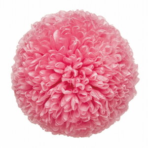 ||e ~fB[ C vU[uht[ [TDLDO002646-180] 9֓ } e sN v[g   AWgt[ lHϗtA t[Mtg K[fjOpi vU