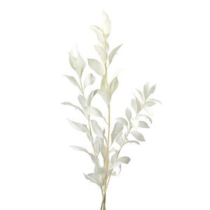 XJXK[f ItzCg vU[uht [[TDLDO003950-011] v[g   AWgt[ lHϗtA t[Mtg K[fjOpi vU[uhH  K[