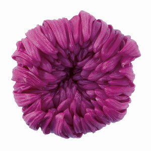 ֋e  Yx[ vU[uht[ 6֓ } e [TDLDO004806-261] v[g   AWgt[ lHϗtA t[Mtg K[fjOpi vU[uhH  K