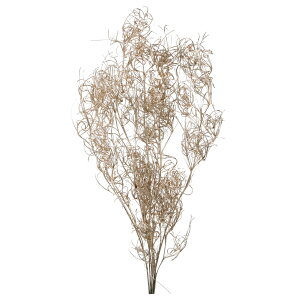 SAiN[ v`i vU[uht[ } [TDLDO001330-932] v[g   tFCNO[ lHϗtA vU[uhH K[fjOpi CeAO[  K[fj