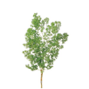 ~IN_X O[ vU[uht[ [TDLDO000160-700] } v[g   tFCNO[ lHϗtA K[fjOpi NX}Xc[ vU[uhH  K[fj