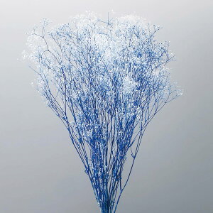 ~jJX~ t[x[  u[ vU[uht[ [TDLDO000015-016] v[g  K[fjOpi vU[uhAW  K[fjO t[AWg CeA t