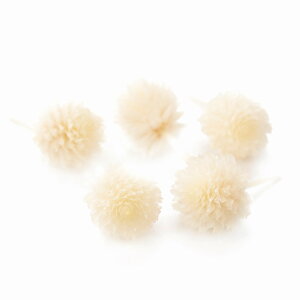 g vU[uh wbh  vU[uht[ 30֓ [TDLDO003453-011] v[g   AWgt[ lHϗtA K[fjOpi vU[uhH  K[fjO