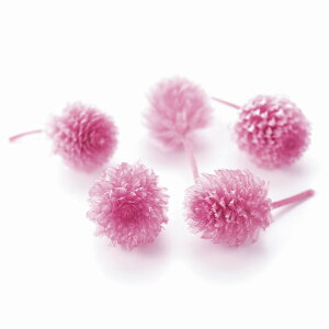 g vU[uh wbhNX^sN vU[uht[  [TDLDO003453-111] 30֓ v[g  K[fjOpi vU[uhAW  K[fjO t[AW