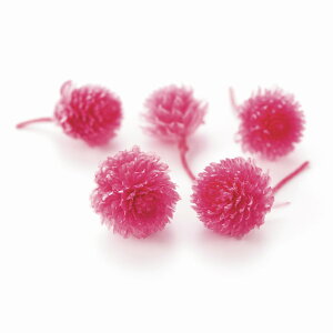 g vU[uh wbhvZXsN vU[uht[ 30֓ [TDLDO003453-181]  v[g  K[fjOpi vU[uhAW  K[fjO t[Mtg t