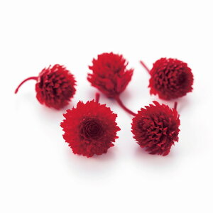 g vU[uh wbh bh vU[uht[ 30֓ [TDLDO003453-321]  v[g  K[fjOpi vU[uhAW  K[fjO t[Mtg t[A