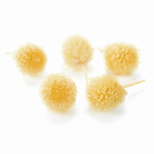 g vU[uh wbh[jO CG[ vU[uht[ 30֓ [TDLDO003453-501]  v[g  K[fjOpi vU[uhAW  K[fjO