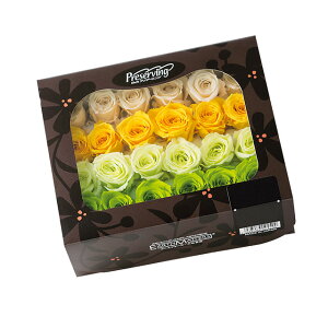 rrA J[A\[g O[~bNX vU[uht[ 24֓ [Y o [TDLDO002374-770] KN v[g   AWgt[ lHϗtA t[Mtg K[fj