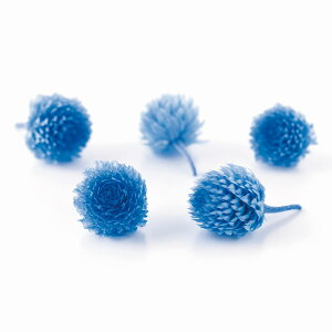 g vU[uh wb h\[_ u[vU[uht[ 30֓ [TDLDO003453-651] u[ v[g   AWgt[ lHϗtA t[Mtg K[fjOpi v