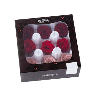 [Y  J[A\[g bh~bNX vU[uht [[TDLDO003484-310] 1BOX 9 o KN  AWgt[ lHϗtA K[fjOpi vU[uhAW 