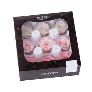 [Y  J[A\[g zCgsN~bNX vU[uht[ [TDLDO003484-150] 1BOX 9֓ o KN v[g   AWgt[ lHϗtA K[fjOpi