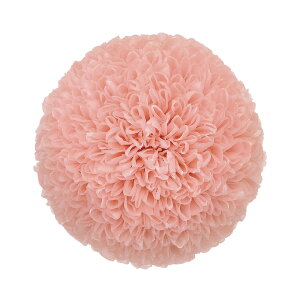 ||e ~fB[ VL[sN vU[uht[ [TDLDO002646-131] (9) } e v[g   AWgt[ lHϗtA t[Mtg K[fjOpi vU