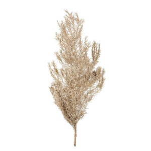 eB[c[ EJ v`i vU[uht[ 1 O[[t [TDLDO001253-932] O[ v[g   tFCNO[ lHϗtA K[fjOpi vU[uh