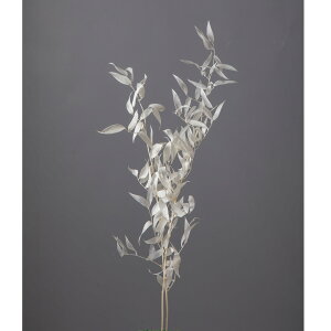 C^AXJX ItzCg hCt[ 2{ TV [TDLDO003910-011] v[g   tFCNO[ lHϗtA K[fjOpi NX}X fBXvC  K[fj