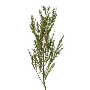 OrA ACotH[ O[ vU[uht [[TDLDO001430-700] v[g   tFCNO[ lHϗtA vU[uhH K[fjOpi CeAO[  K