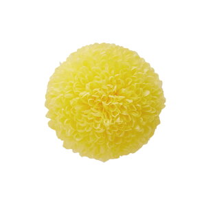 y||e ~fB [jOCG[ vU[uht[ 9֓ } e [TDLDO002646-501] v[g   AWgt[ lHϗtA t[Mtg K[fjOpi v