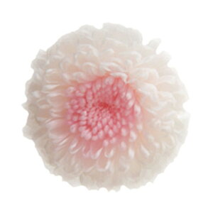 ||} fIzCgsN vU[uht[ 8֓ } e [TDLFL000415-311] vU[uhH t[f CeAt[   փMtg AWgp[c f