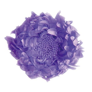 AX^[ I[oCIbg vU[uht[ 6֓ } e [TDLFL000440-086] vU[uhH t[f CeAt[  AWgp[c fBXvC t[M