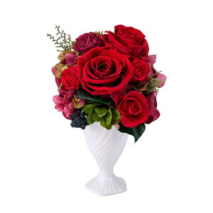 [WA}AWgvU[uht[MtgAW[TDLBD000017] vU[uhH NAP[X KN IWi