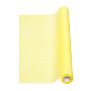 g[ CG[ bsO 20m sDz  [TDLWP000019-014] bsOpi t[AWg Mtgpi bsOy[p[  t[Mtg