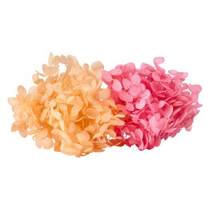 FM\tgAix LfB BOX LbgXgx[ vU[uht[ 1BOX AWTC [TDLDT080603] z AWg vU[uhH AWgp[c t[Mt