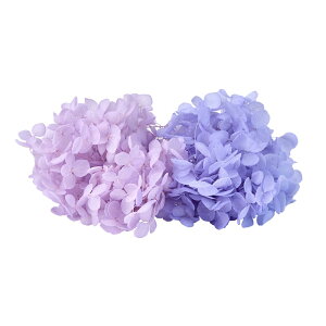 FM\tgAix LfBBOX CbNp[vbVu[ vU[uht[ 1BOX AWTC [TDLDT080606] z AWg vU[uhH AWgp[c t