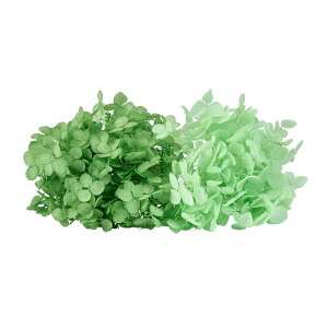 FM\tgAix LfBBOX VCj[O[}XJbg vU[uht[ 1BOX AWTC [TDLDT080610] AWg vU[uhH AWgp[c nhCh