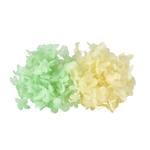 FM\tgAix LfBBOX }XJbg vU[uht[ 1BOX AWTC [TDLDT080611] AWg vU[uhH AWgp[c nhCh nM