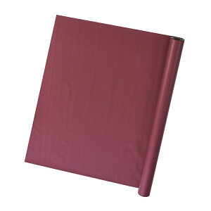 }bgJ[Y o[KfB[ bsOtB htB  [TDLRA008676-018] bsOpi t[AWg Mtgpi bsO  t[Mtg