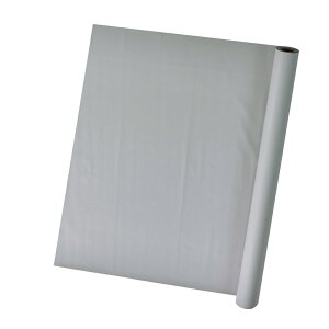 }bgJ[Y O[ bsOtB htB [TDLRA008676-146] MtggbsOpi  pi R | piG t[Mtg  ʓFvg 1{20m