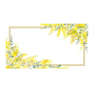 MtgJ[h ~U 50  J[h [TDLZS00G725] bsOpi Mtgpi AWgp[c pi t[Mtg bZ[WJ[h v[gp A t[