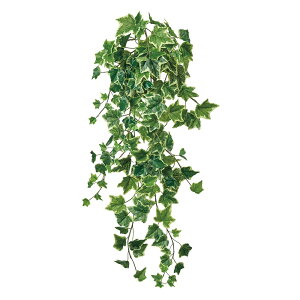 RbhACr[oC zCgO[ A[eBtBVt[  ACr[ t [TDLFG005270] CeAO[ AWgԍ  IuWF oC ԍ fBXv