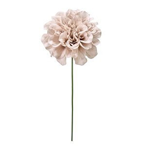 vC_AsbN AeB[N x[W A[eBtBVt[  _A [TDLFM000414-013] nhCh CeAt[ sbN EFfBOu[P t[f