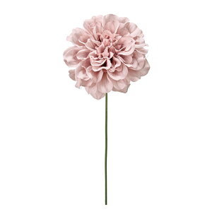 vC_AsbN AeB[N [u A[eBtBVt[  _A [TDLFM000414-142] nhCh CeAt[ sbN EFfBOu[P t[f