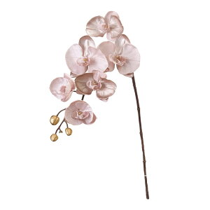 t@mx x_[[u A[eBtBVt[  Ӓ t@m [TDLFJ003716-042] AWg  NX}X  t[f i`AW t